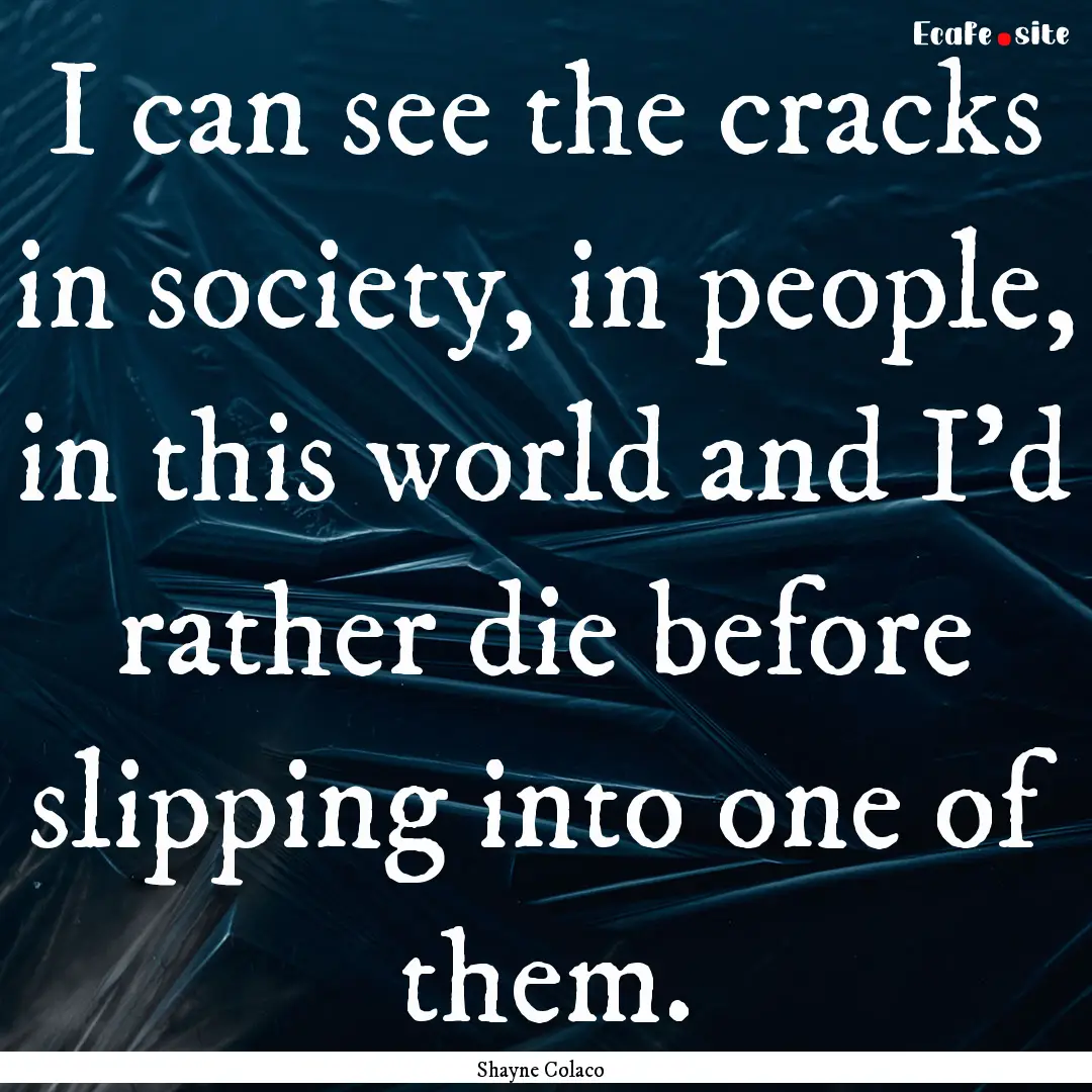 I can see the cracks in society, in people,.... : Quote by Shayne Colaco