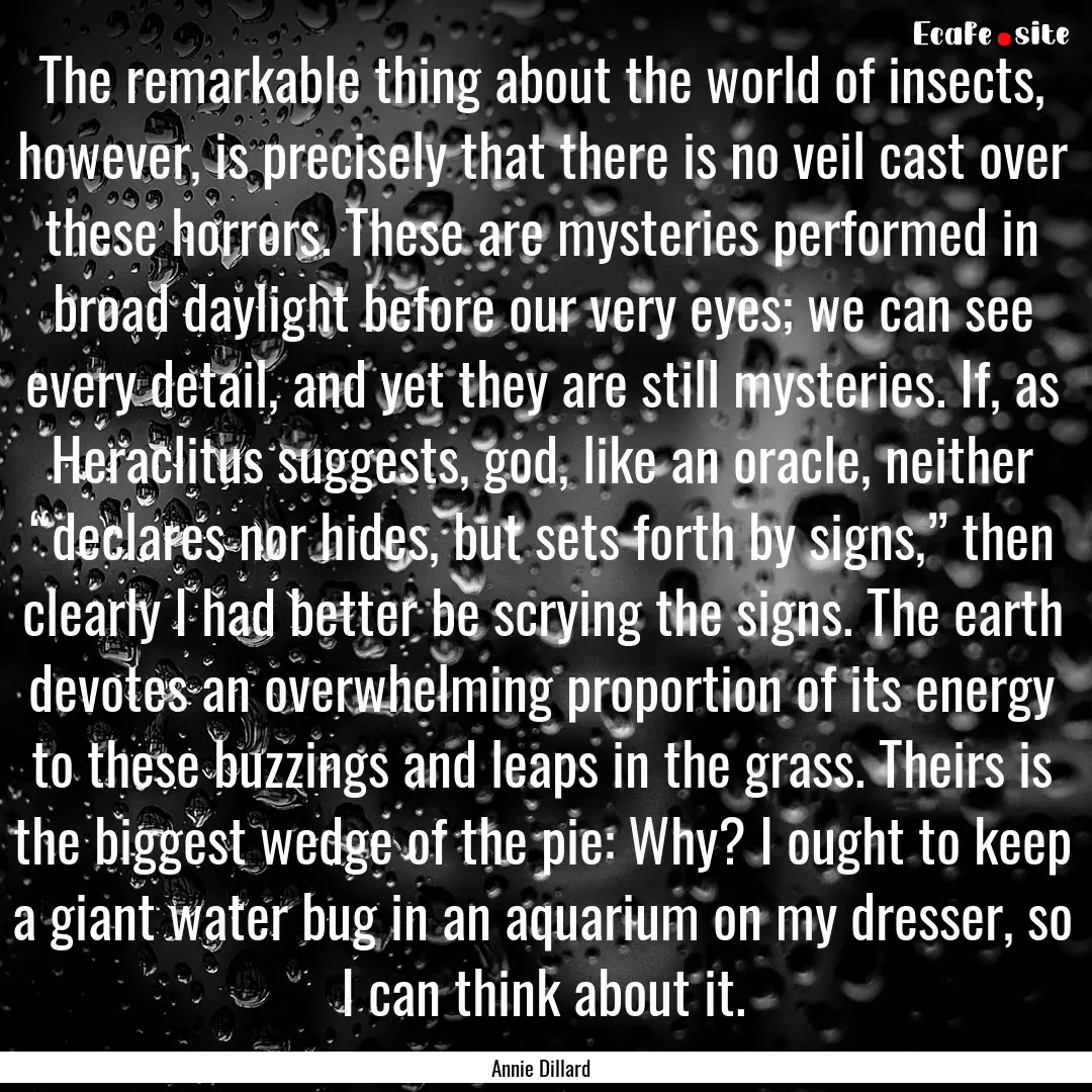 The remarkable thing about the world of insects,.... : Quote by Annie Dillard