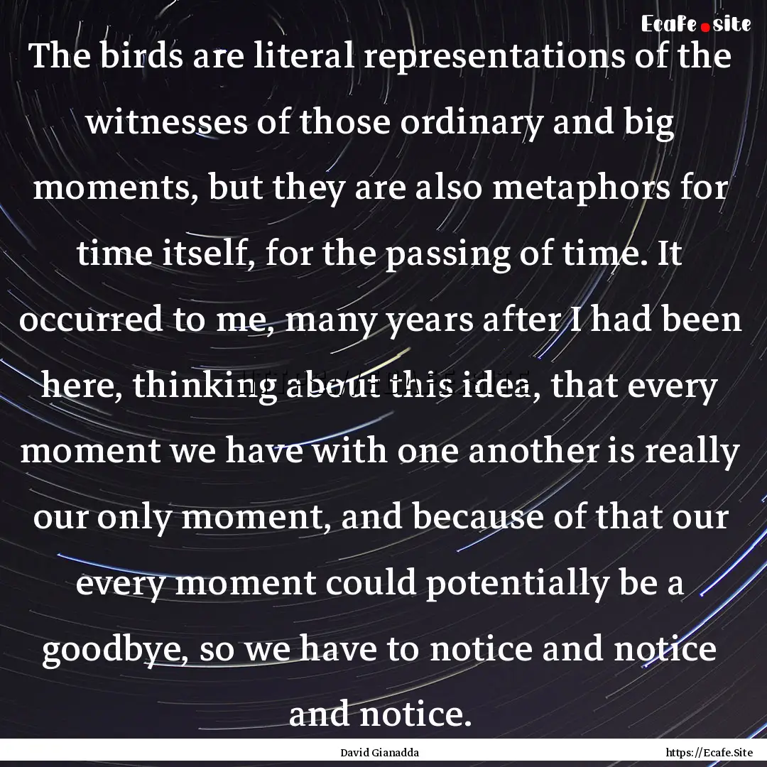 The birds are literal representations of.... : Quote by David Gianadda