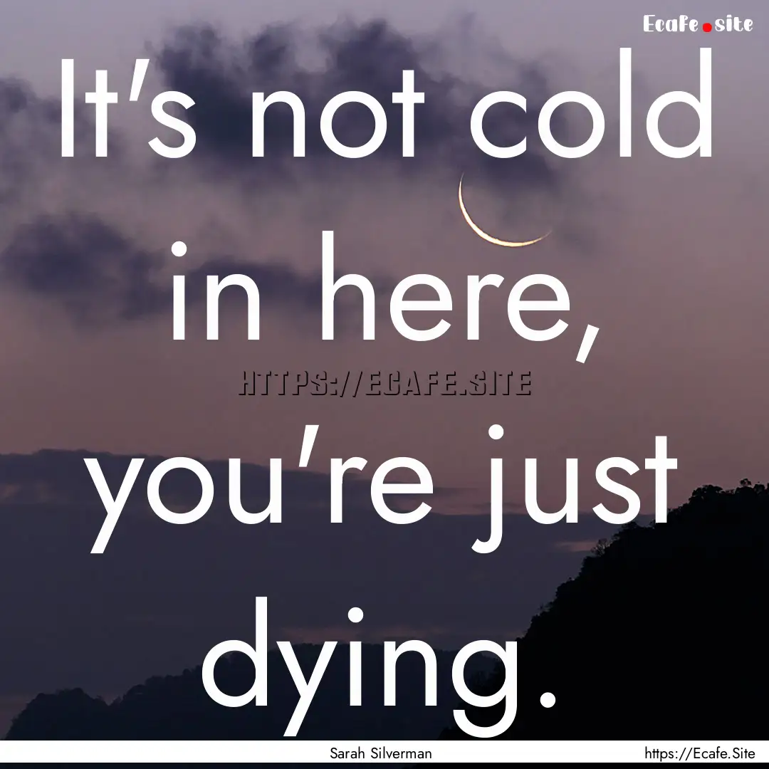 It's not cold in here, you're just dying..... : Quote by Sarah Silverman