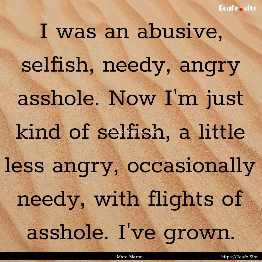 I was an abusive, selfish, needy, angry asshole..... : Quote by Marc Maron