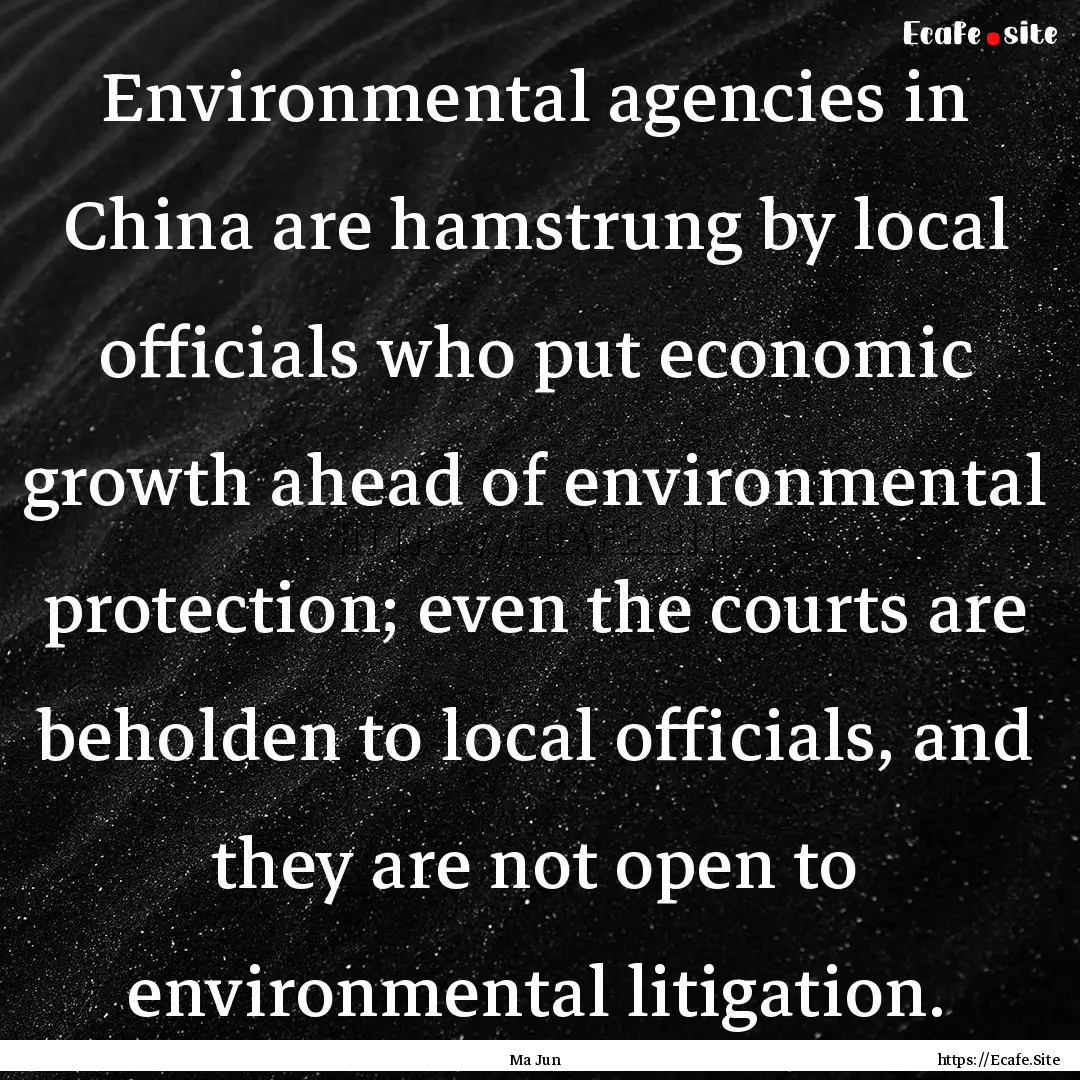 Environmental agencies in China are hamstrung.... : Quote by Ma Jun