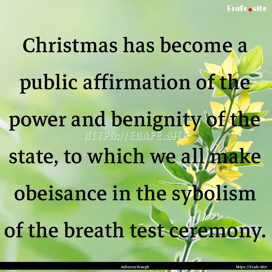 Christmas has become a public affirmation.... : Quote by Auberon Waugh