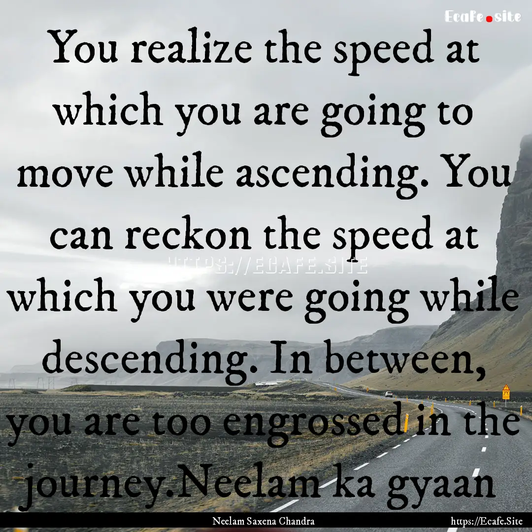 You realize the speed at which you are going.... : Quote by Neelam Saxena Chandra