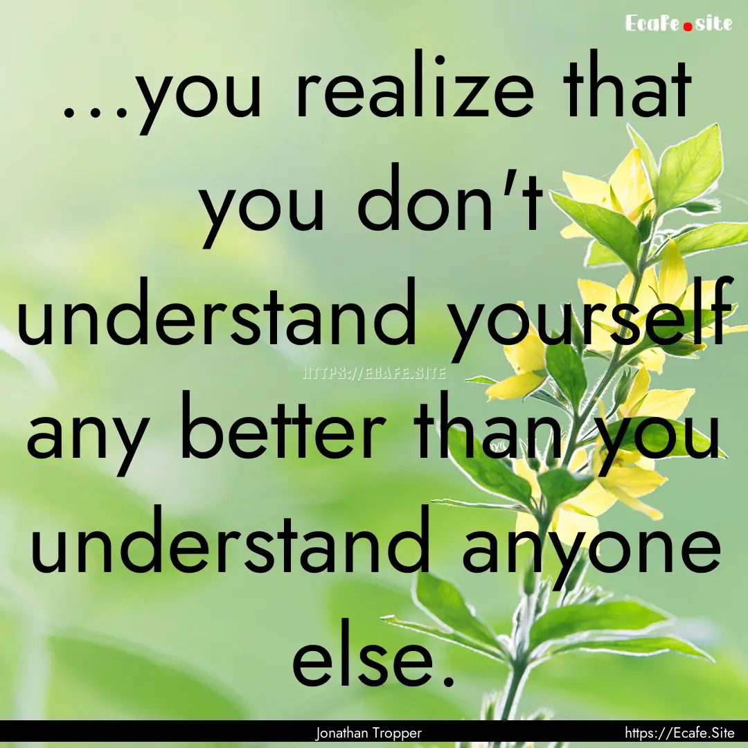 ...you realize that you don't understand.... : Quote by Jonathan Tropper