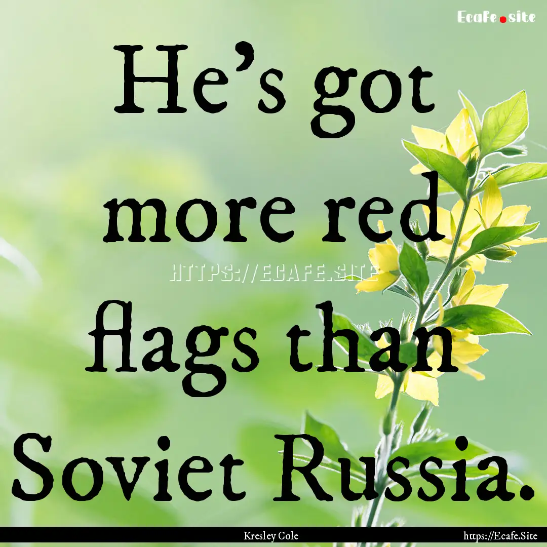 He's got more red flags than Soviet Russia..... : Quote by Kresley Cole