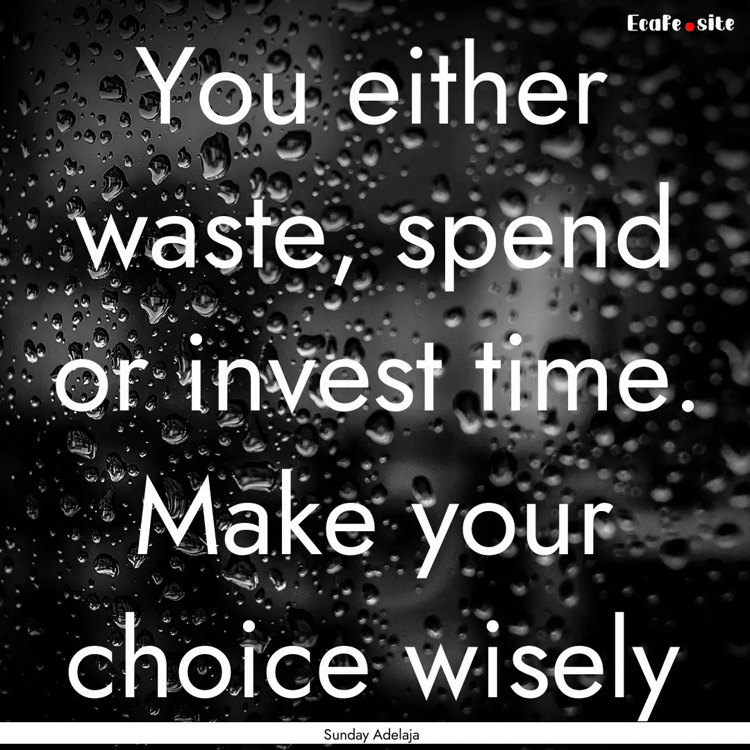 You either waste, spend or invest time. Make.... : Quote by Sunday Adelaja