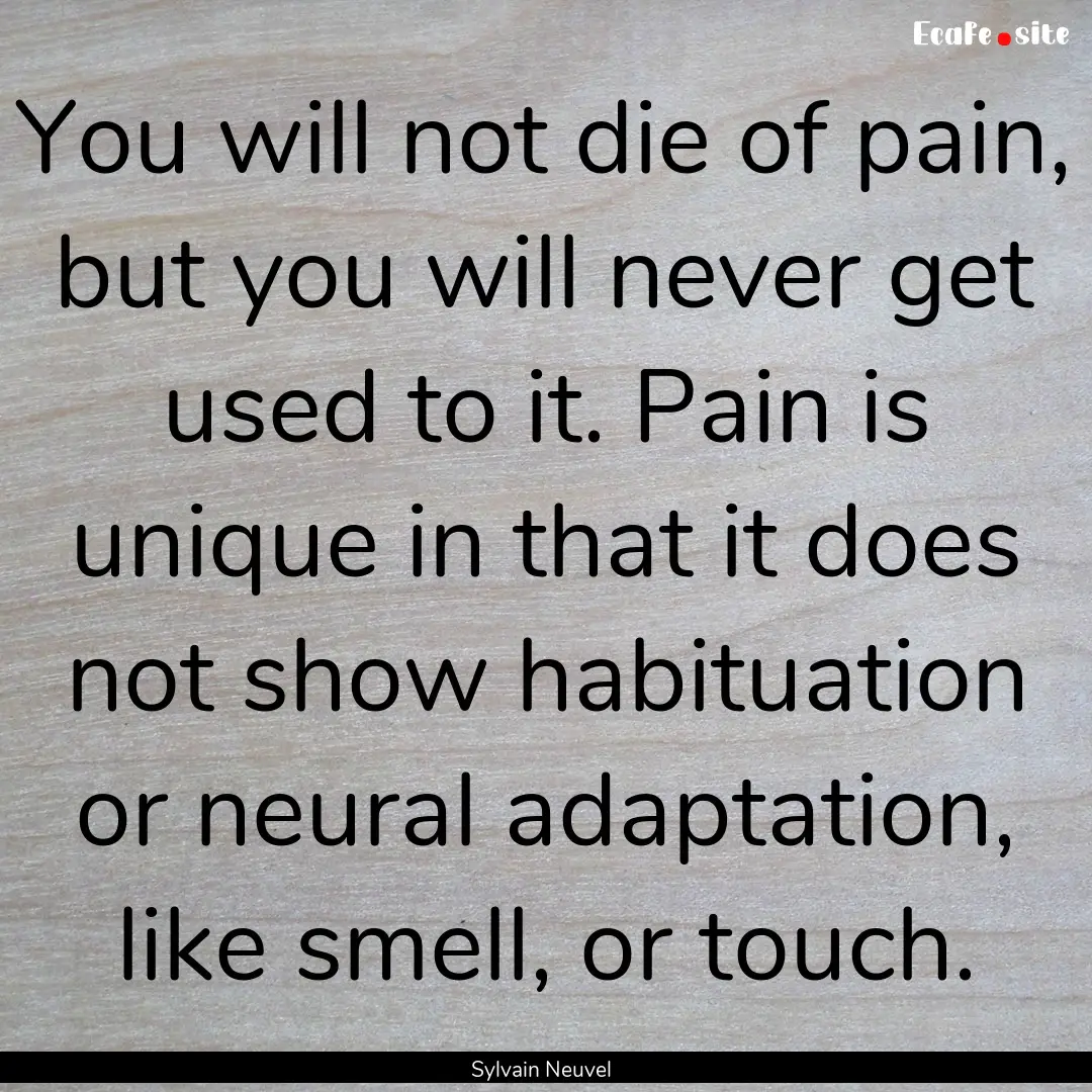 You will not die of pain, but you will never.... : Quote by Sylvain Neuvel