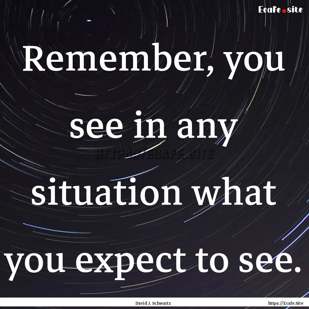 Remember, you see in any situation what you.... : Quote by David J. Schwartz