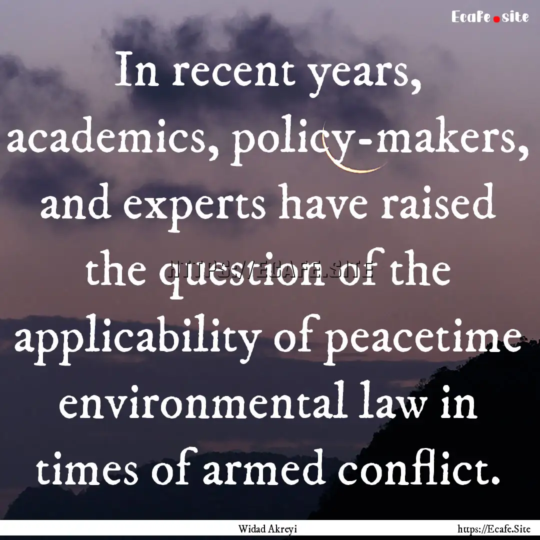 In recent years, academics, policy-makers,.... : Quote by Widad Akreyi