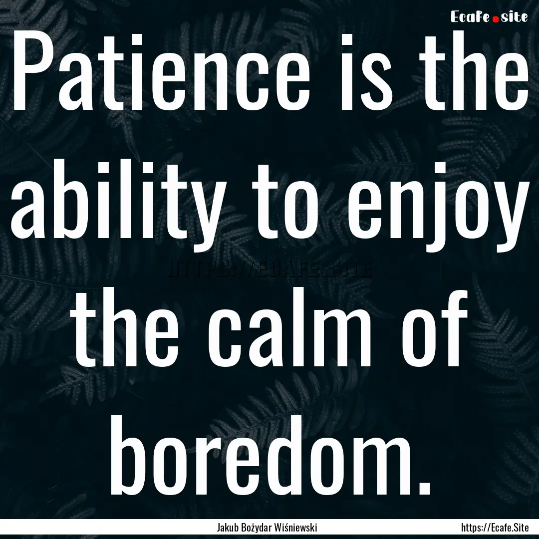 Patience is the ability to enjoy the calm.... : Quote by Jakub Bożydar Wiśniewski