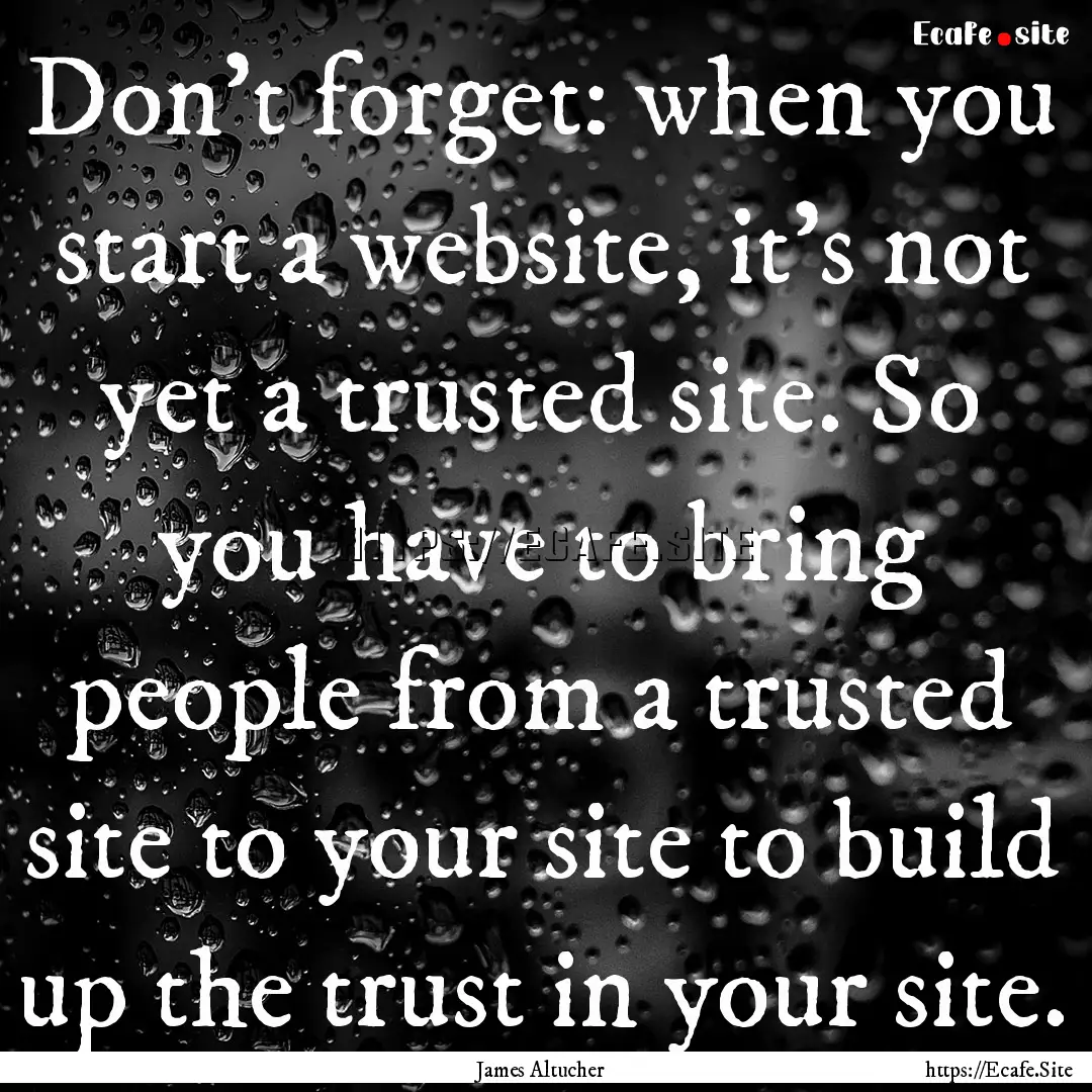 Don't forget: when you start a website, it's.... : Quote by James Altucher