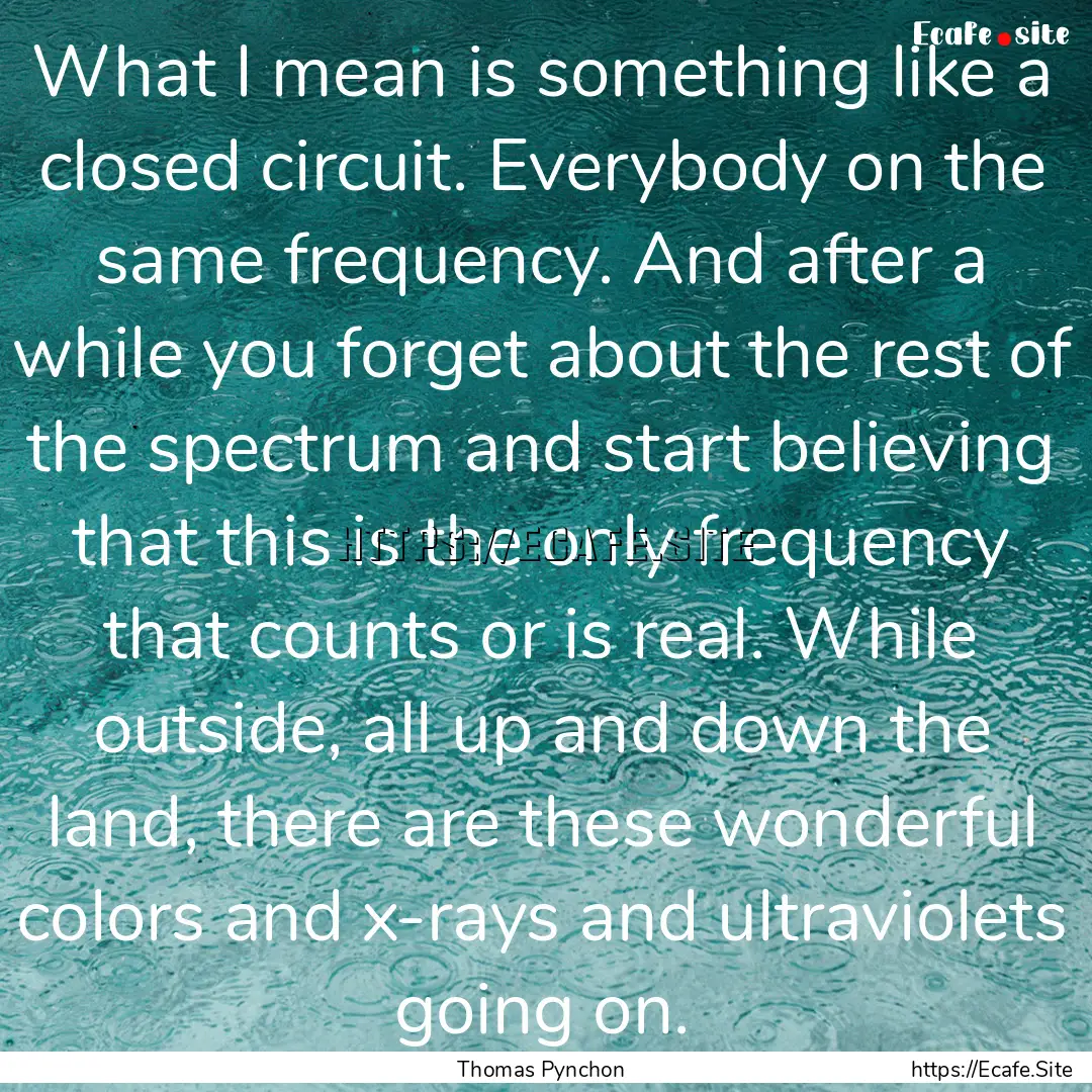 What I mean is something like a closed circuit..... : Quote by Thomas Pynchon