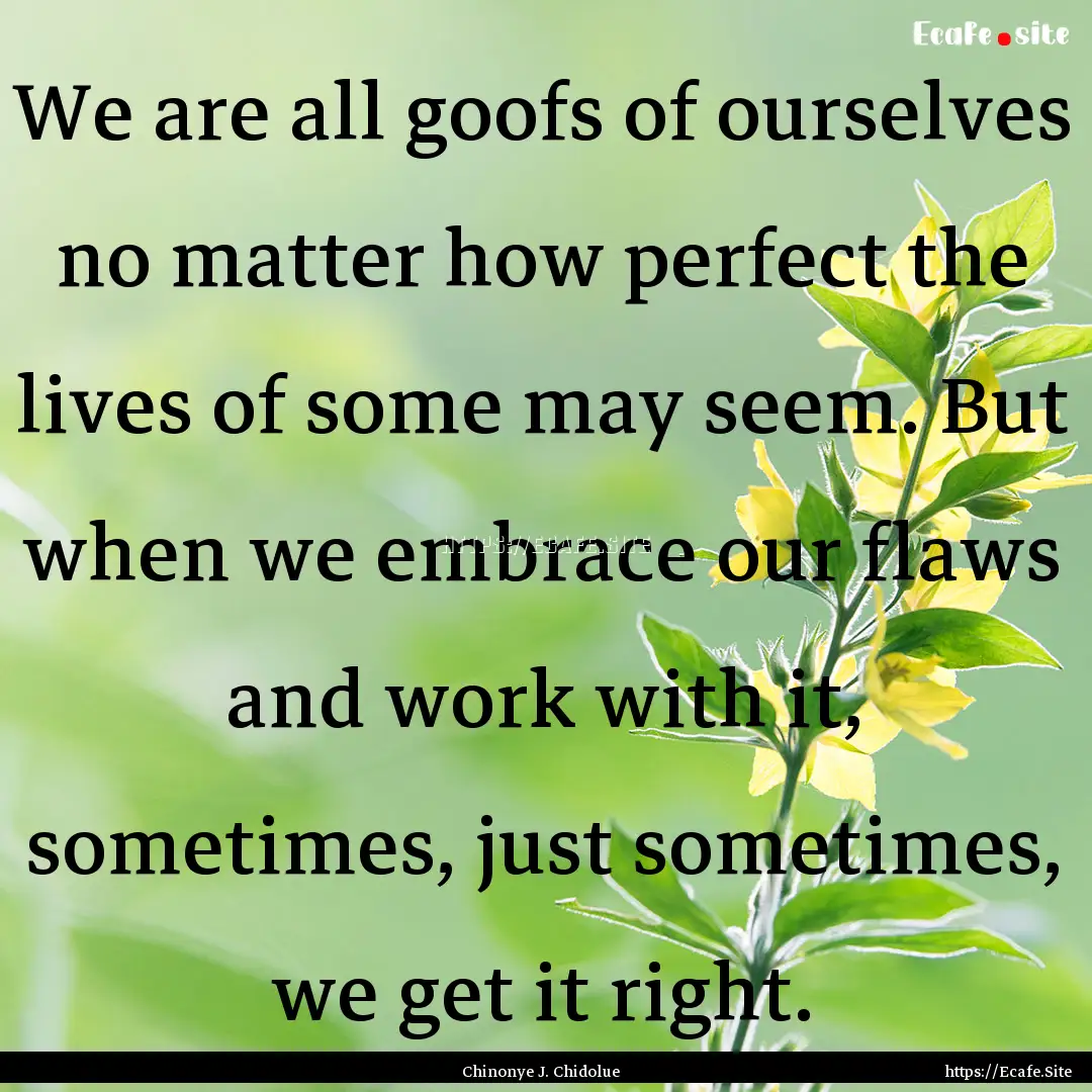 We are all goofs of ourselves no matter how.... : Quote by Chinonye J. Chidolue