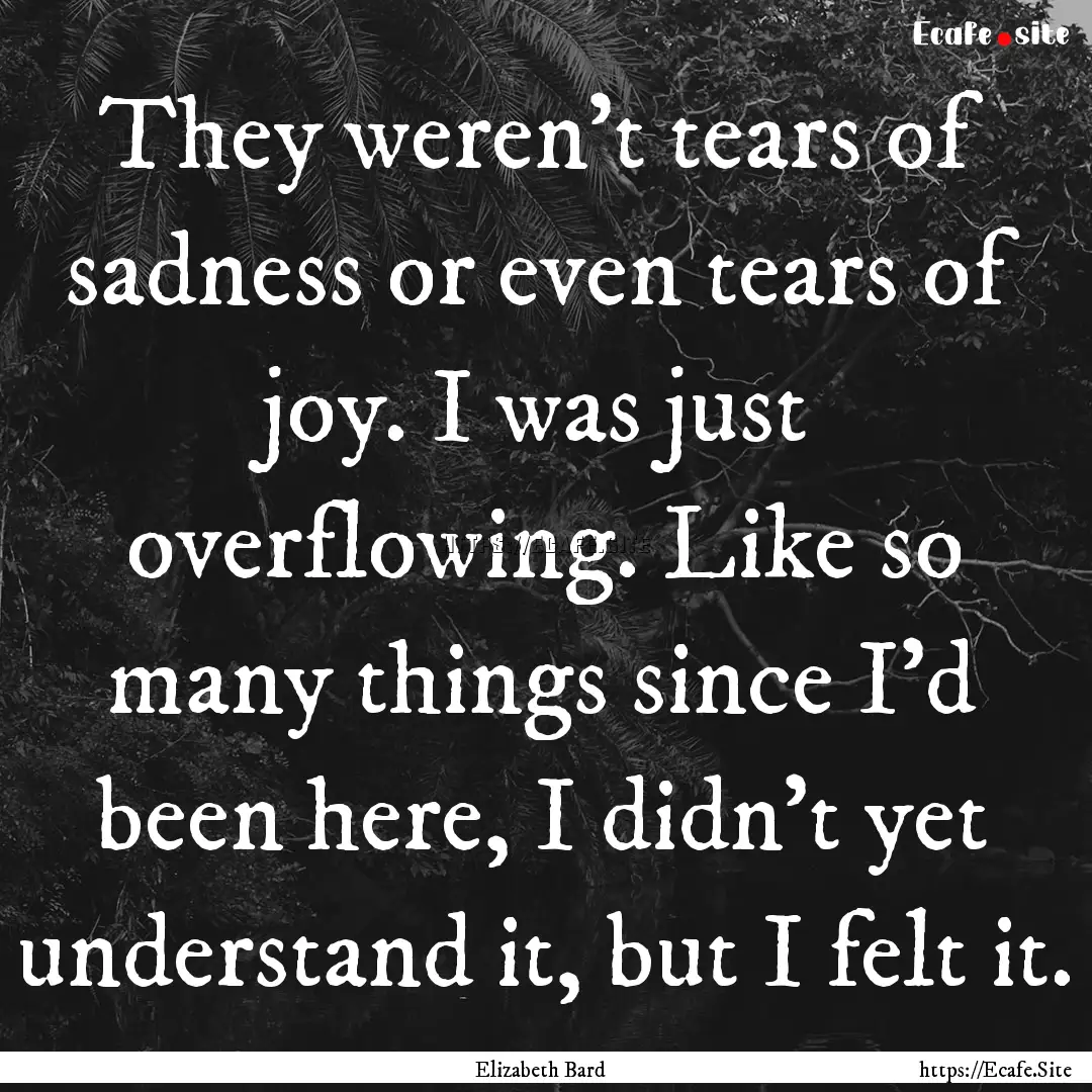 They weren't tears of sadness or even tears.... : Quote by Elizabeth Bard