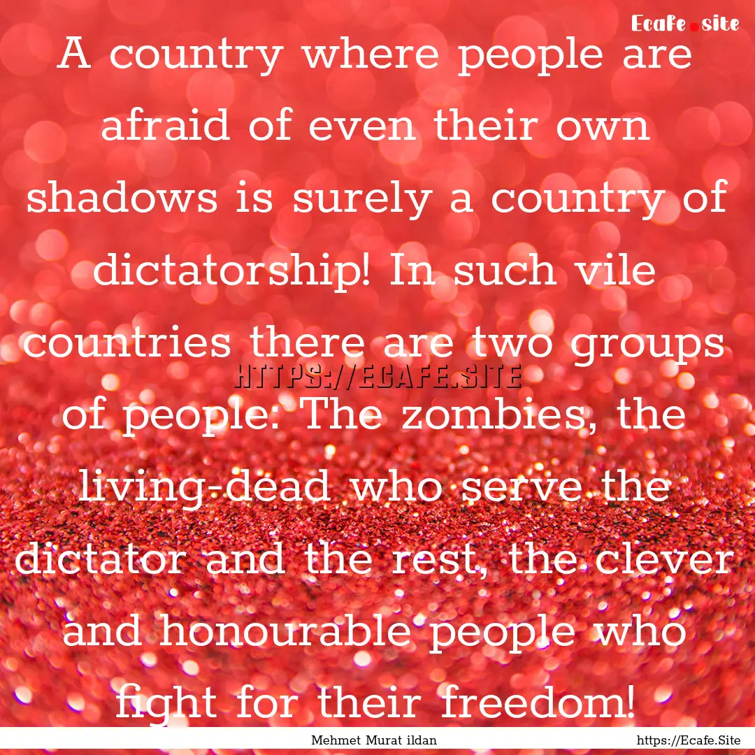 A country where people are afraid of even.... : Quote by Mehmet Murat ildan