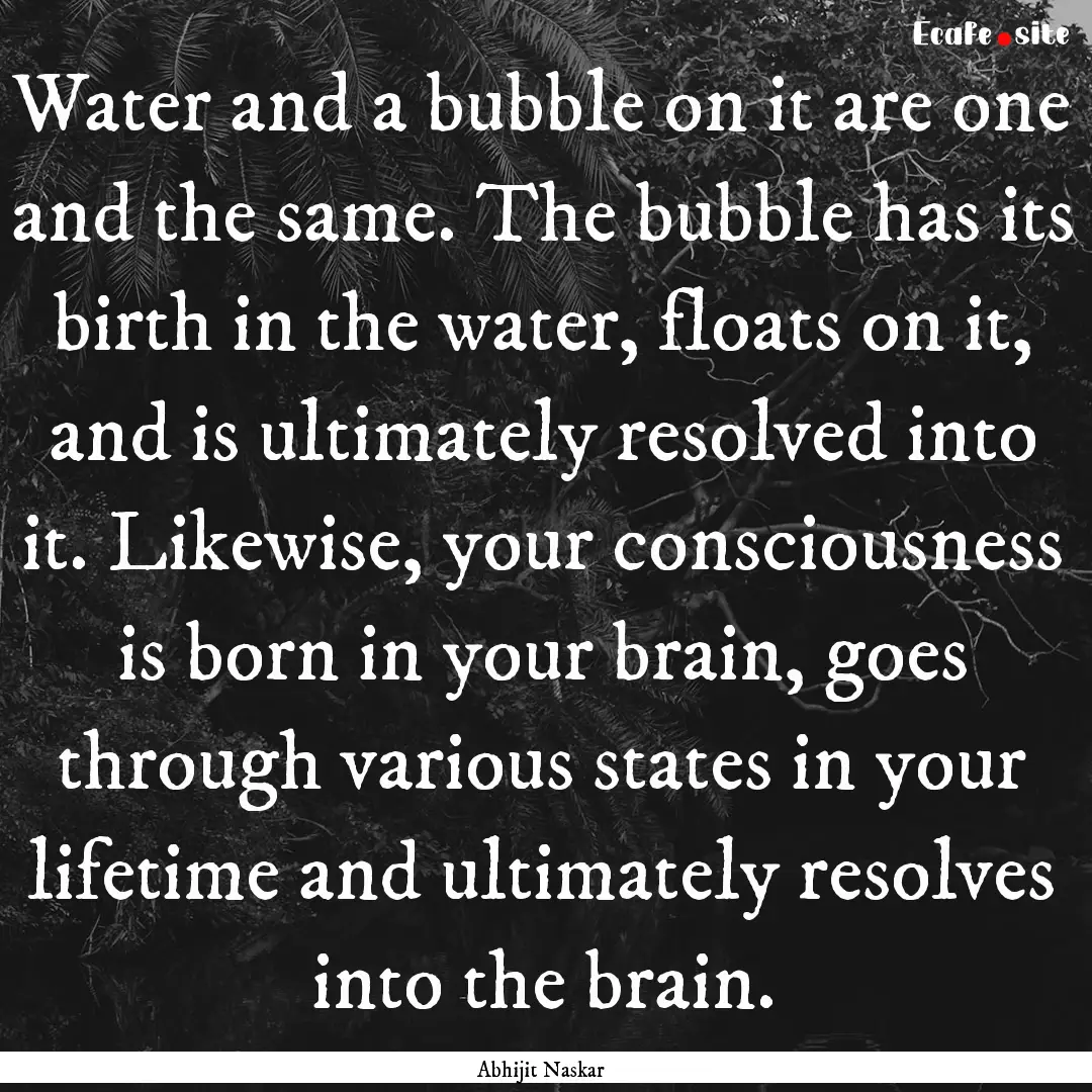 Water and a bubble on it are one and the.... : Quote by Abhijit Naskar