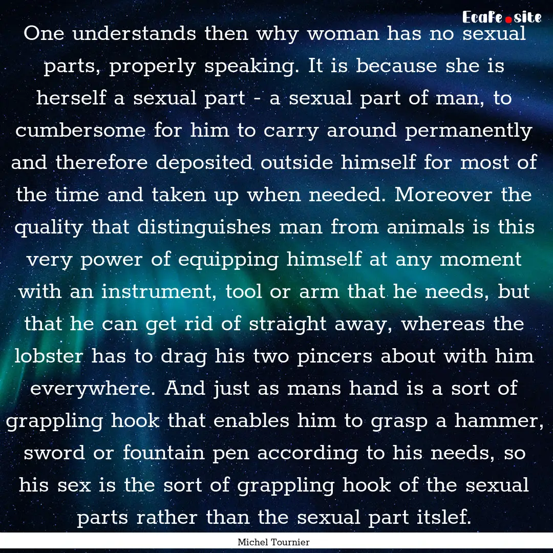 One understands then why woman has no sexual.... : Quote by Michel Tournier