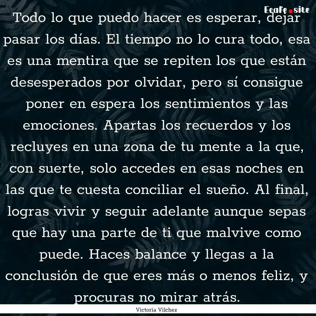 Todo lo que puedo hacer es esperar, dejar.... : Quote by Victoria Vilchez