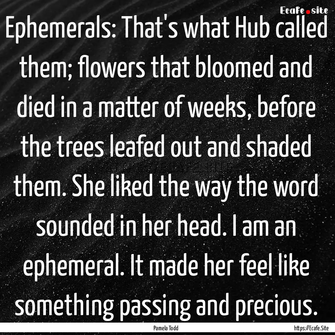 Ephemerals: That's what Hub called them;.... : Quote by Pamela Todd