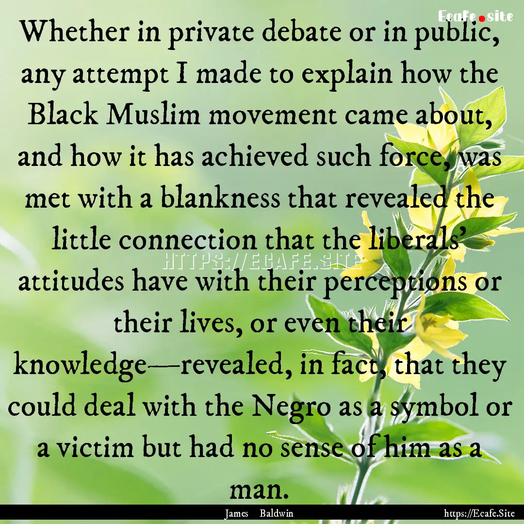 Whether in private debate or in public, any.... : Quote by James Baldwin