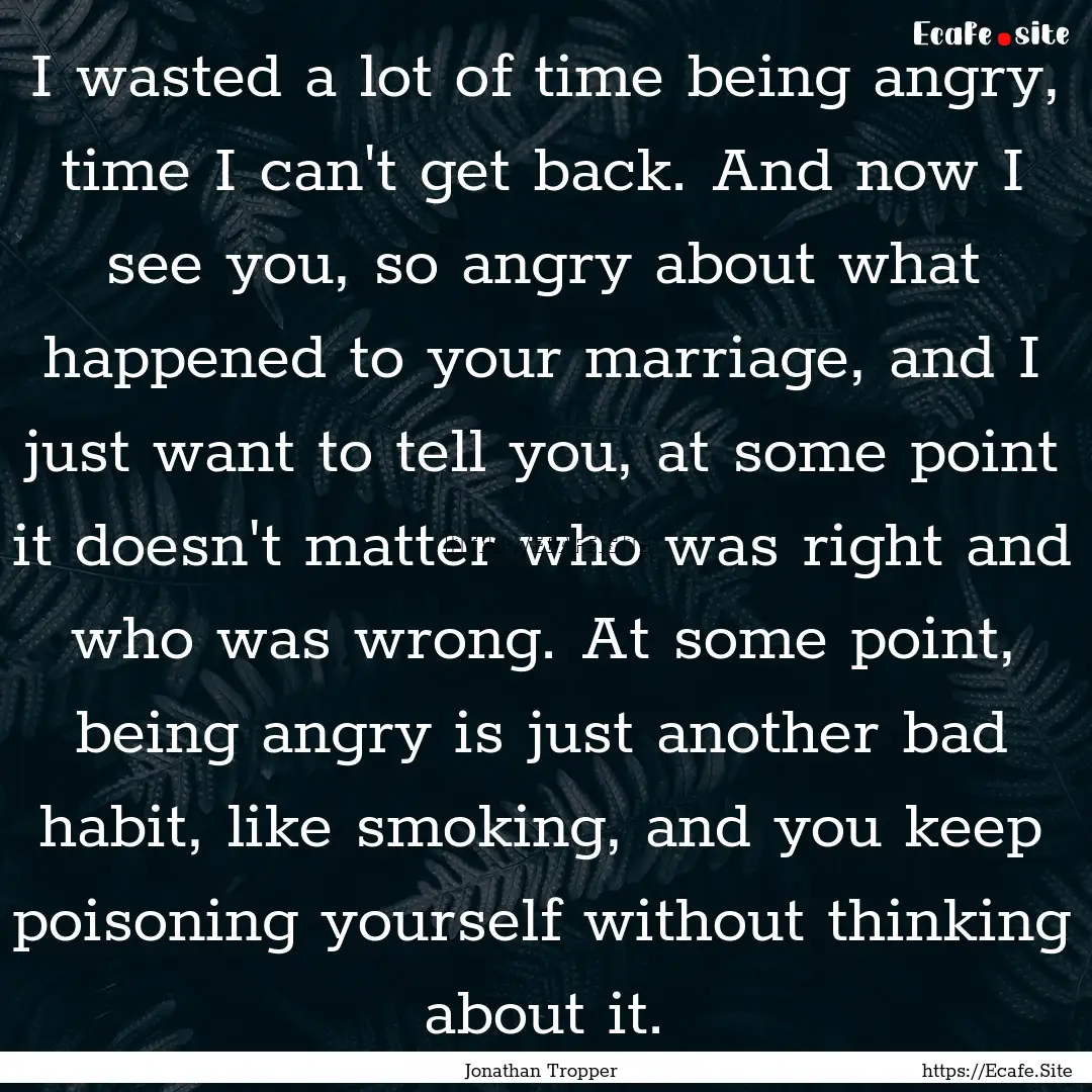 I wasted a lot of time being angry, time.... : Quote by Jonathan Tropper