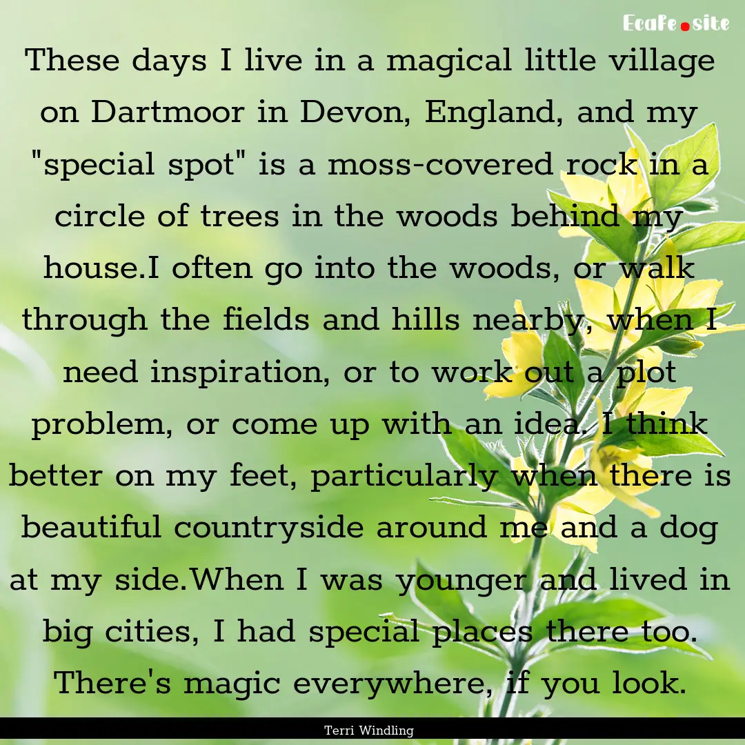 These days I live in a magical little village.... : Quote by Terri Windling