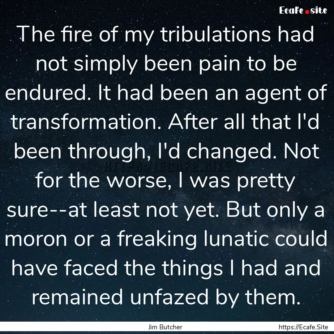 The fire of my tribulations had not simply.... : Quote by Jim Butcher