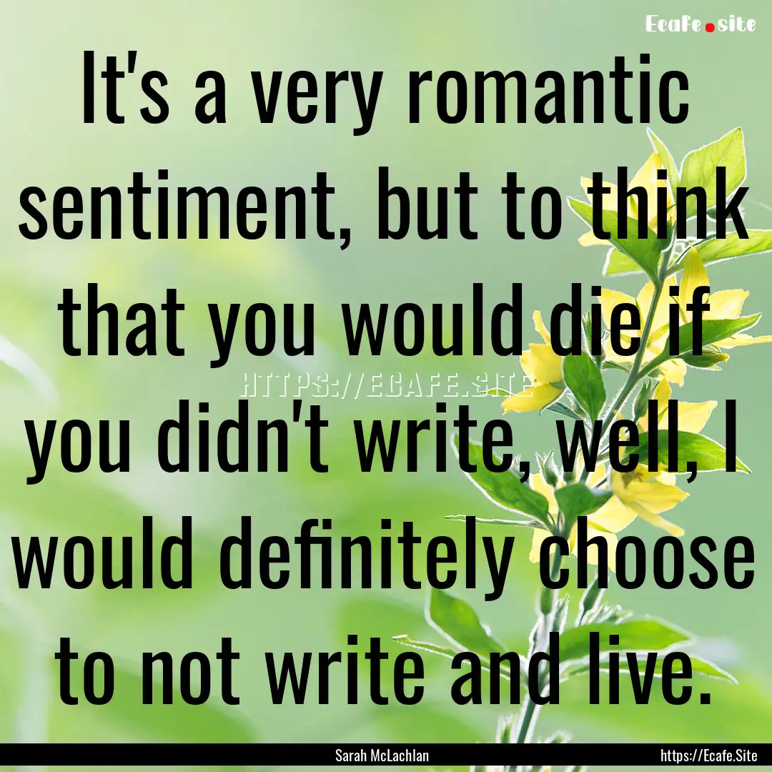 It's a very romantic sentiment, but to think.... : Quote by Sarah McLachlan