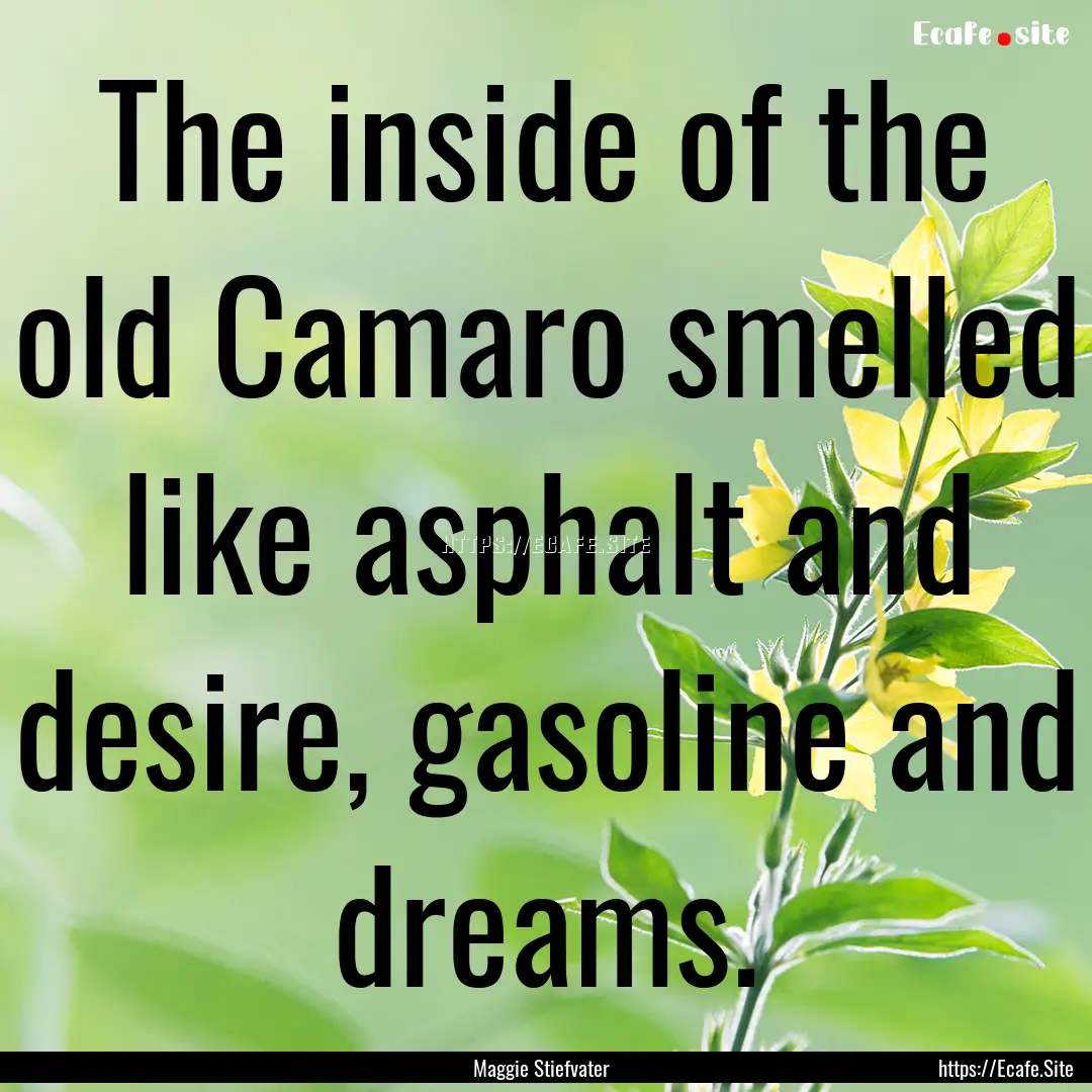 The inside of the old Camaro smelled like.... : Quote by Maggie Stiefvater