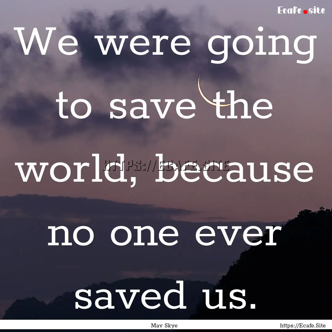 We were going to save the world, because.... : Quote by Mav Skye