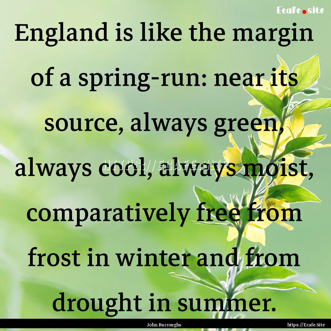 England is like the margin of a spring-run:.... : Quote by John Burroughs