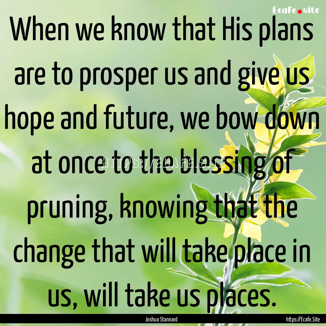 When we know that His plans are to prosper.... : Quote by Joshua Stannard