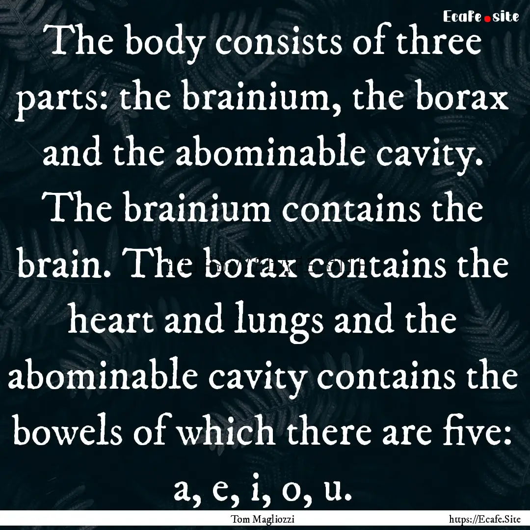 The body consists of three parts: the brainium,.... : Quote by Tom Magliozzi