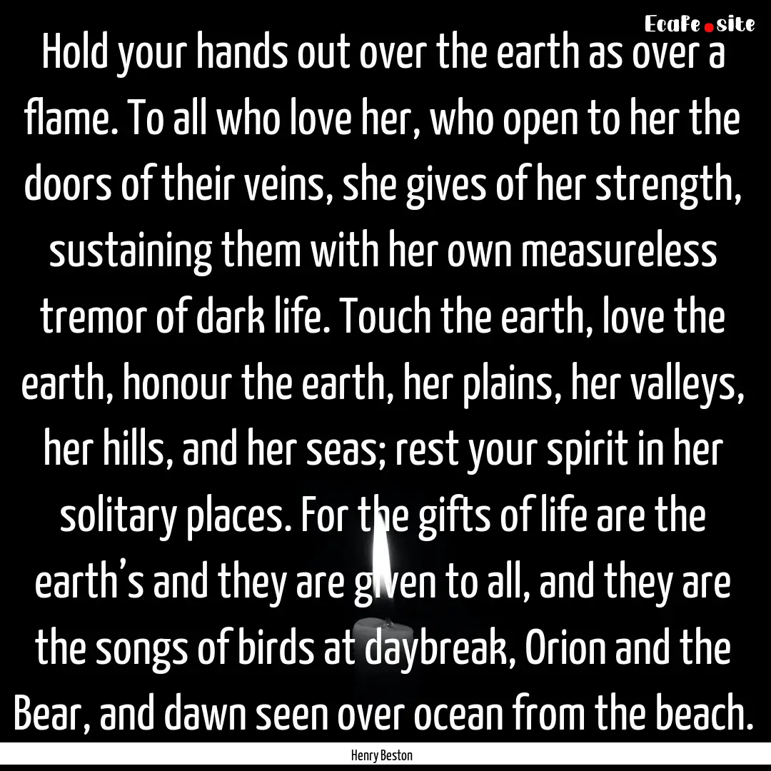 Hold your hands out over the earth as over.... : Quote by Henry Beston