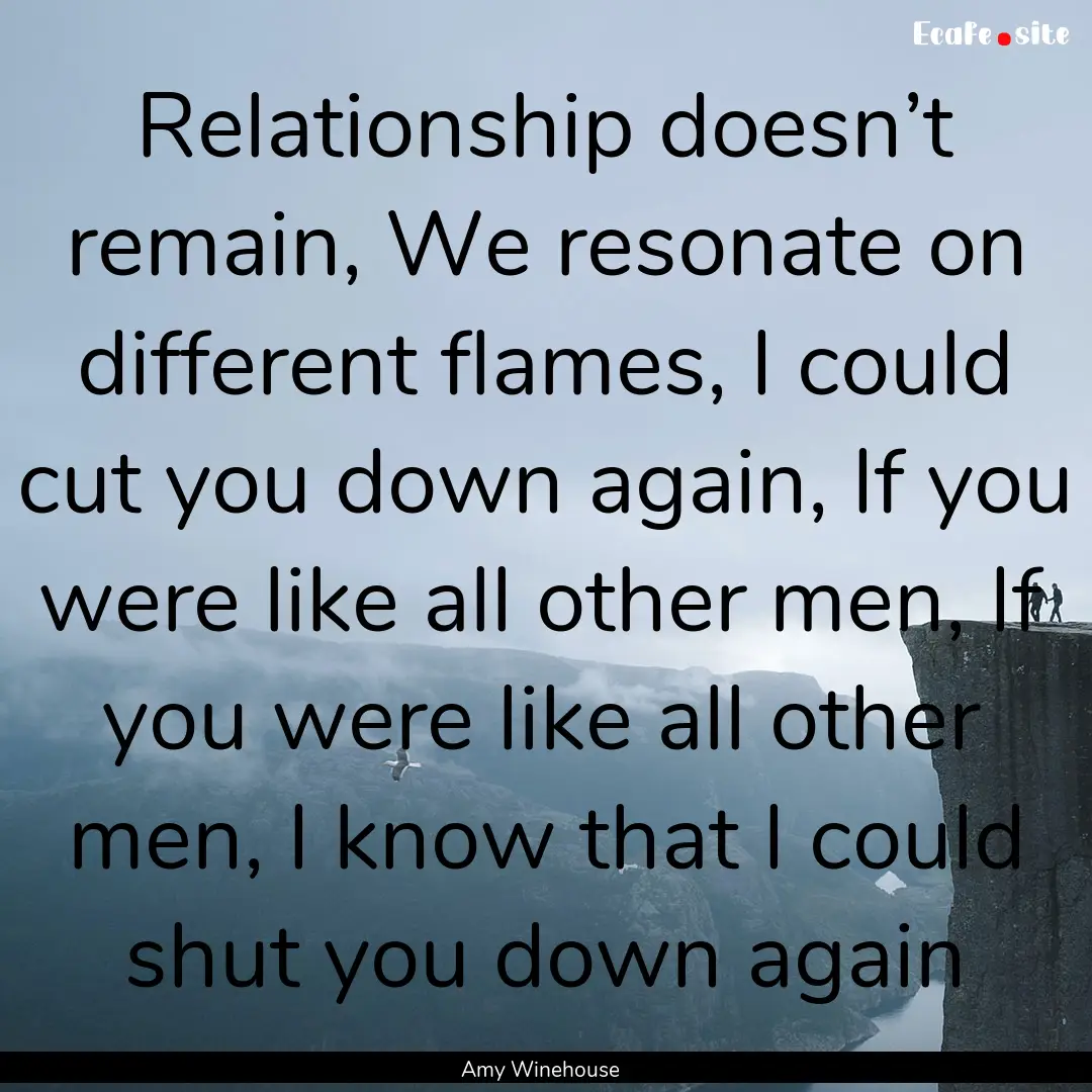 Relationship doesn’t remain, We resonate.... : Quote by Amy Winehouse