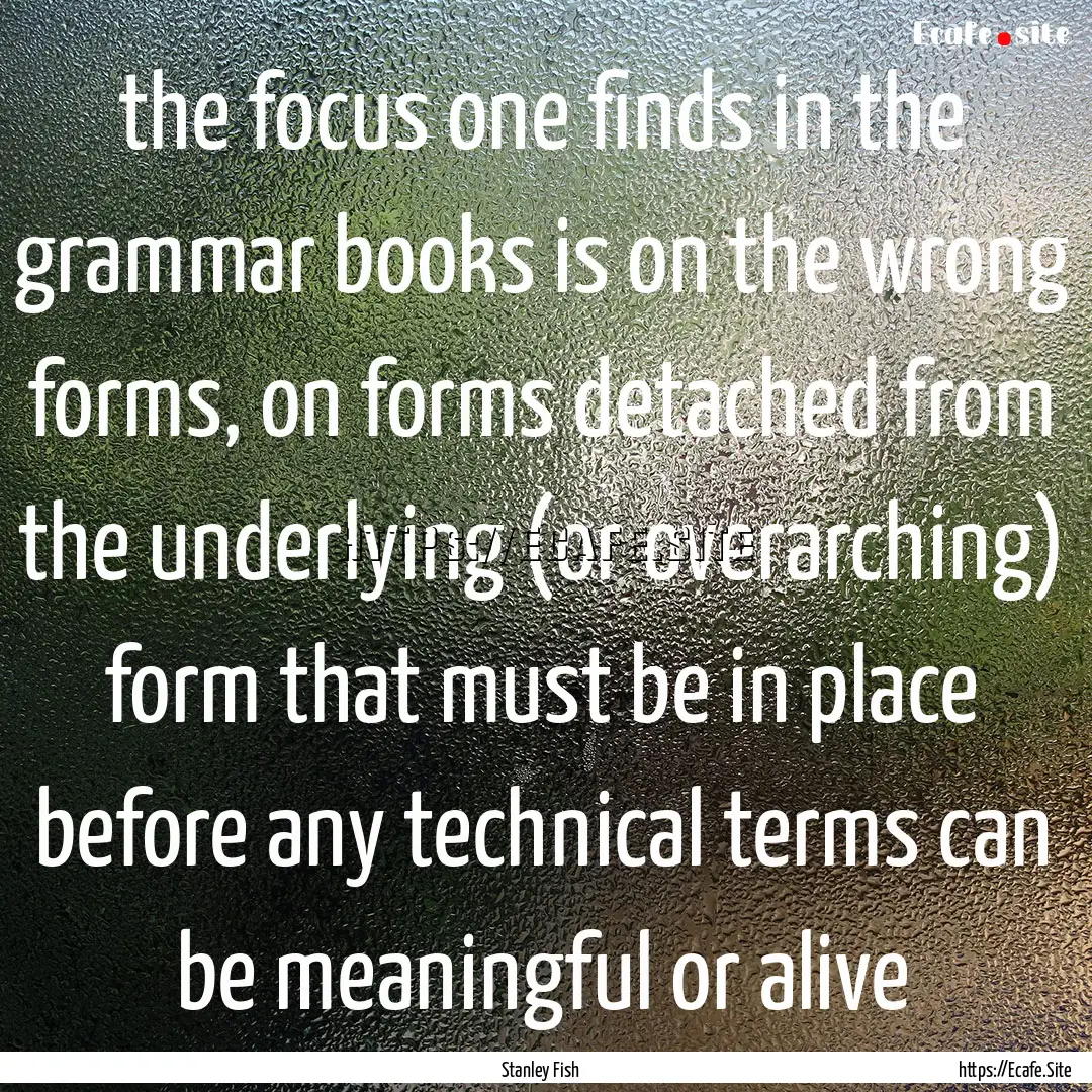 the focus one finds in the grammar books.... : Quote by Stanley Fish