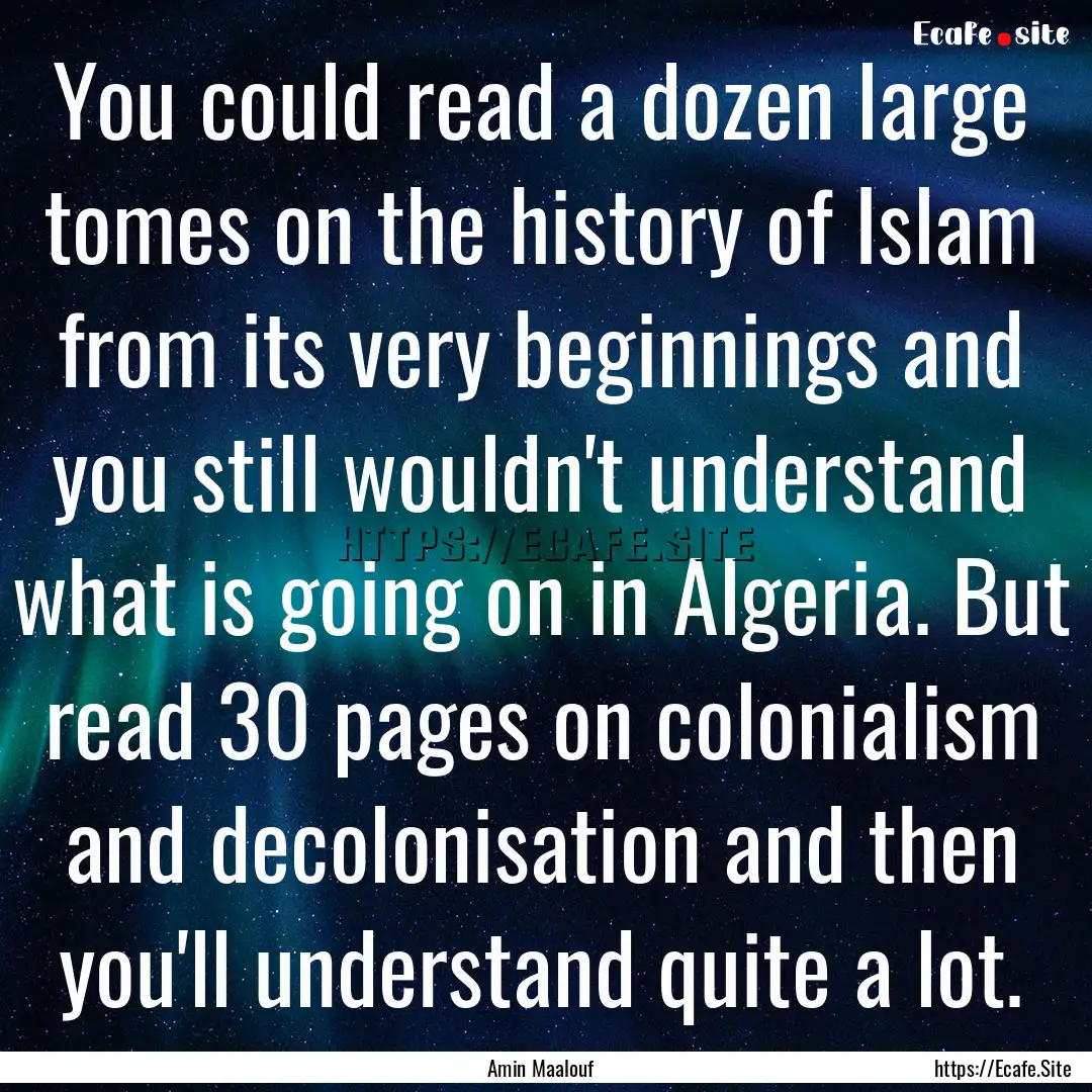 You could read a dozen large tomes on the.... : Quote by Amin Maalouf