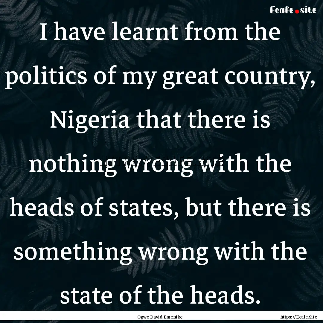 I have learnt from the politics of my great.... : Quote by Ogwo David Emenike