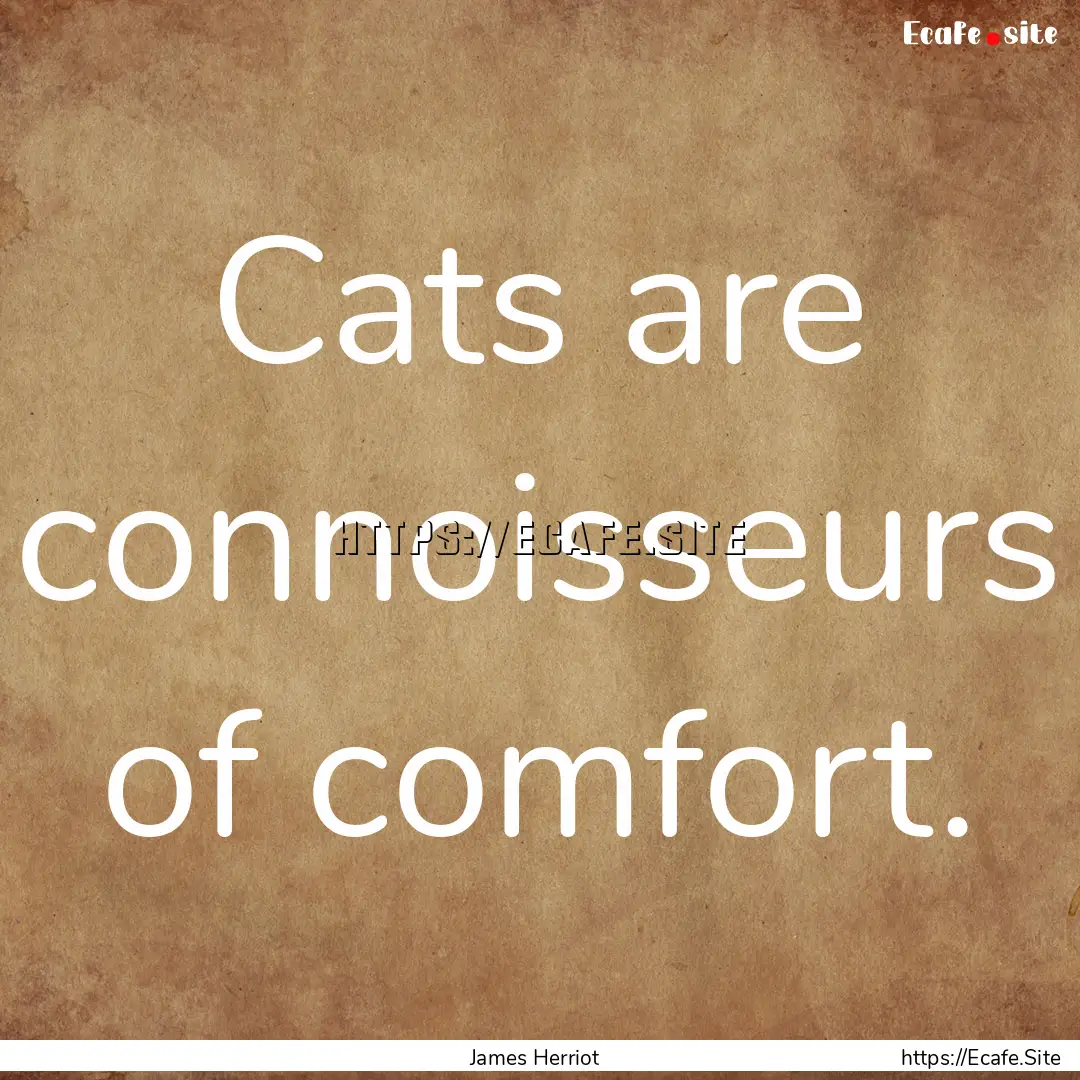 Cats are connoisseurs of comfort. : Quote by James Herriot