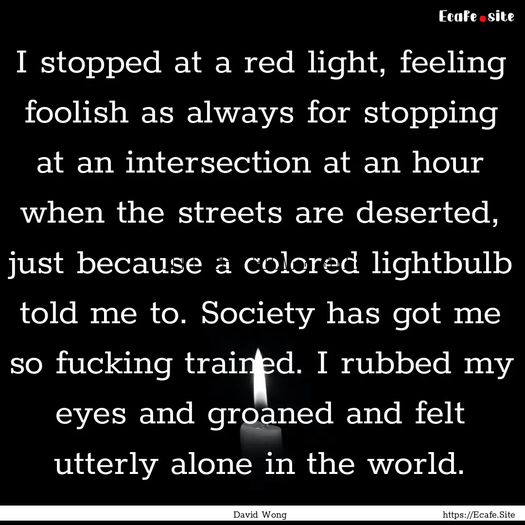 I stopped at a red light, feeling foolish.... : Quote by David Wong