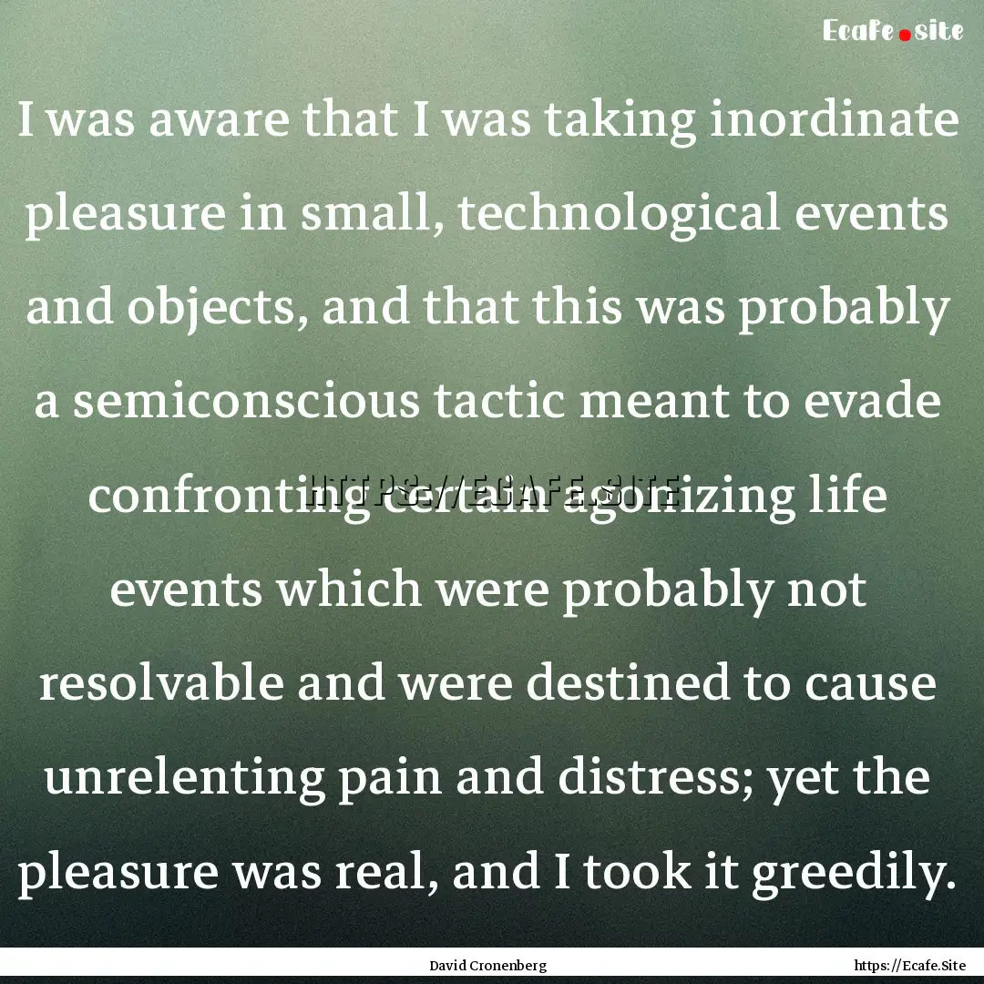 I was aware that I was taking inordinate.... : Quote by David Cronenberg