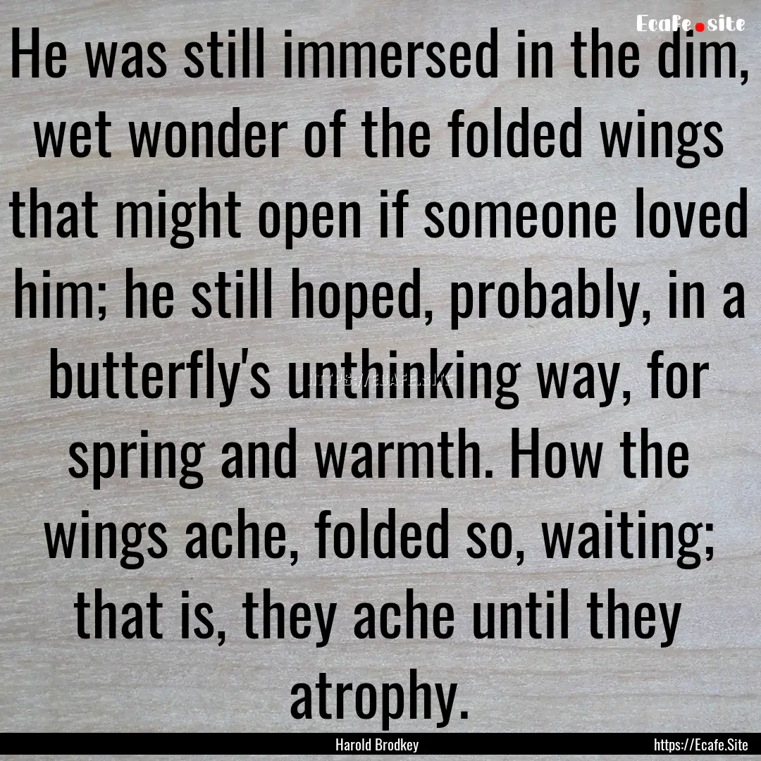 He was still immersed in the dim, wet wonder.... : Quote by Harold Brodkey