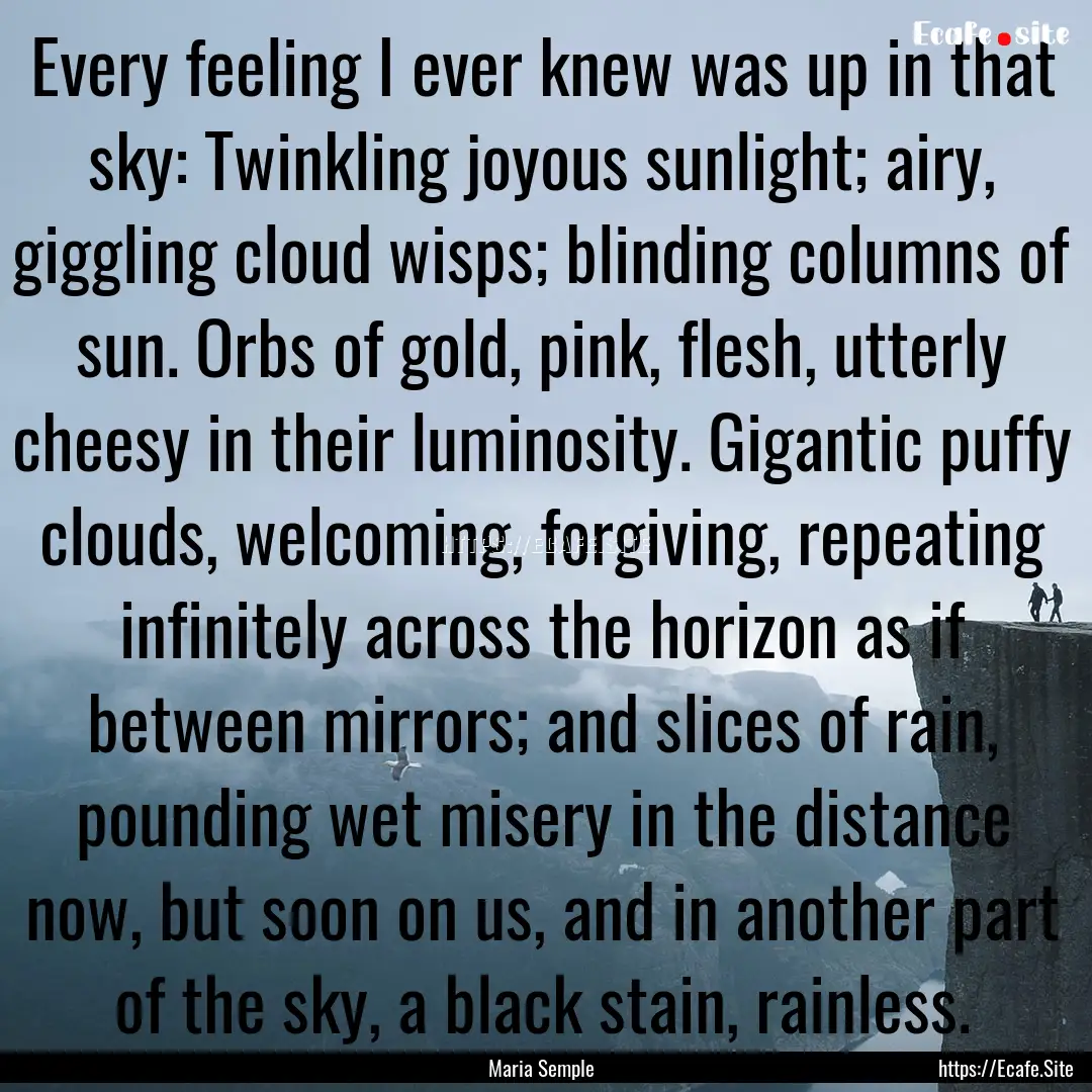 Every feeling I ever knew was up in that.... : Quote by Maria Semple