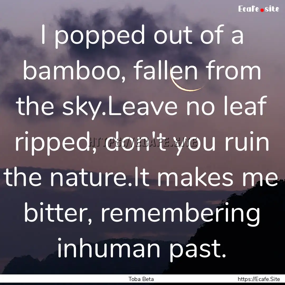 I popped out of a bamboo, fallen from the.... : Quote by Toba Beta