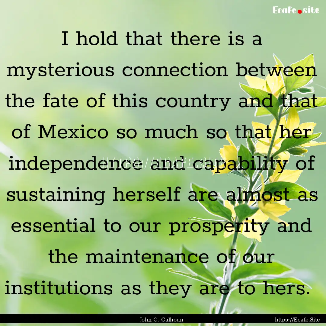 I hold that there is a mysterious connection.... : Quote by John C. Calhoun