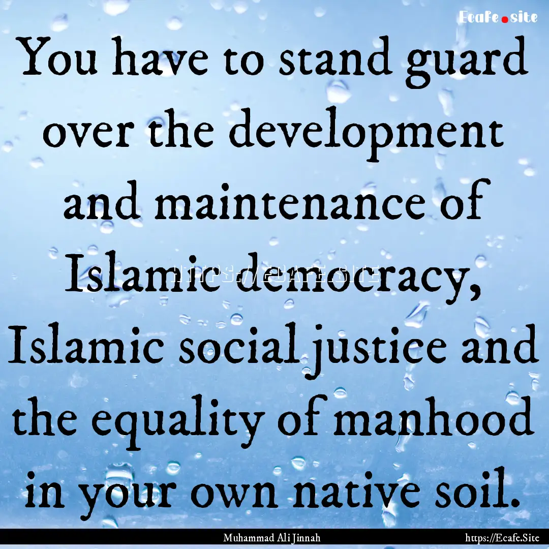 You have to stand guard over the development.... : Quote by Muhammad Ali Jinnah