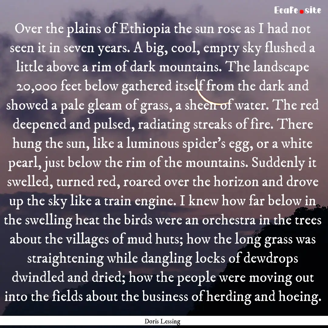 Over the plains of Ethiopia the sun rose.... : Quote by Doris Lessing