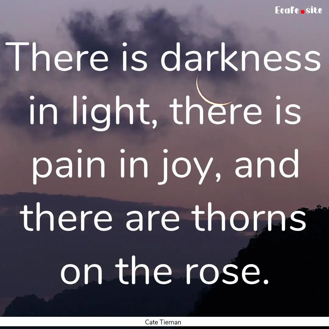 There is darkness in light, there is pain.... : Quote by Cate Tiernan