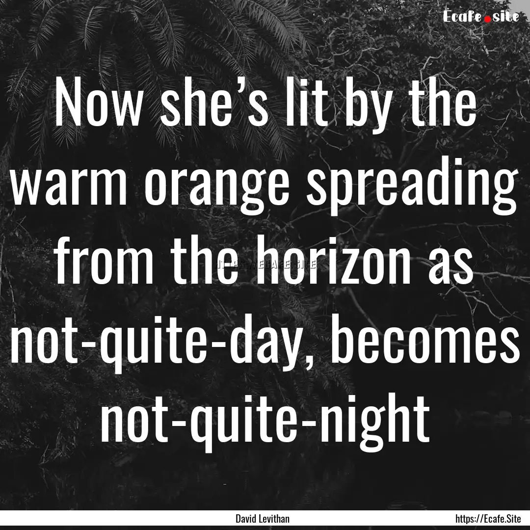 Now she’s lit by the warm orange spreading.... : Quote by David Levithan